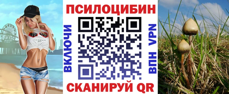 закладка  Агрыз  OMG как войти  Псилоцибиновые грибы ЛСД 